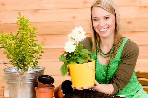Enhancing curb appeal with Ruislip landscape gardening