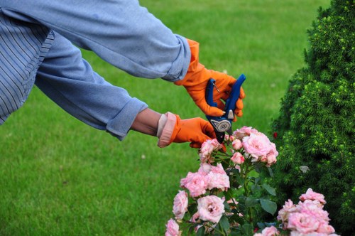 Plant selection and garden planning in Ruislip